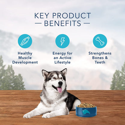 Wilderness with Chicken High Protein & Wholesome Grains Dry Dog Food for Adult Dogs, 34% Protein, Supports Immunity with Antioxidant-Rich Lifesource Bits, 24 Lbs.