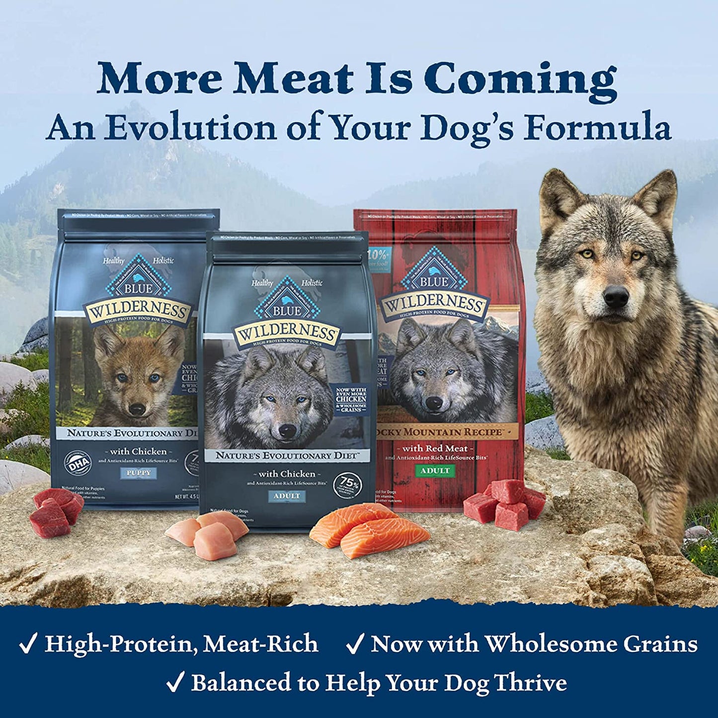 Wilderness with Chicken High Protein & Wholesome Grains Dry Dog Food for Adult Dogs, 34% Protein, Supports Immunity with Antioxidant-Rich Lifesource Bits, 24 Lbs.