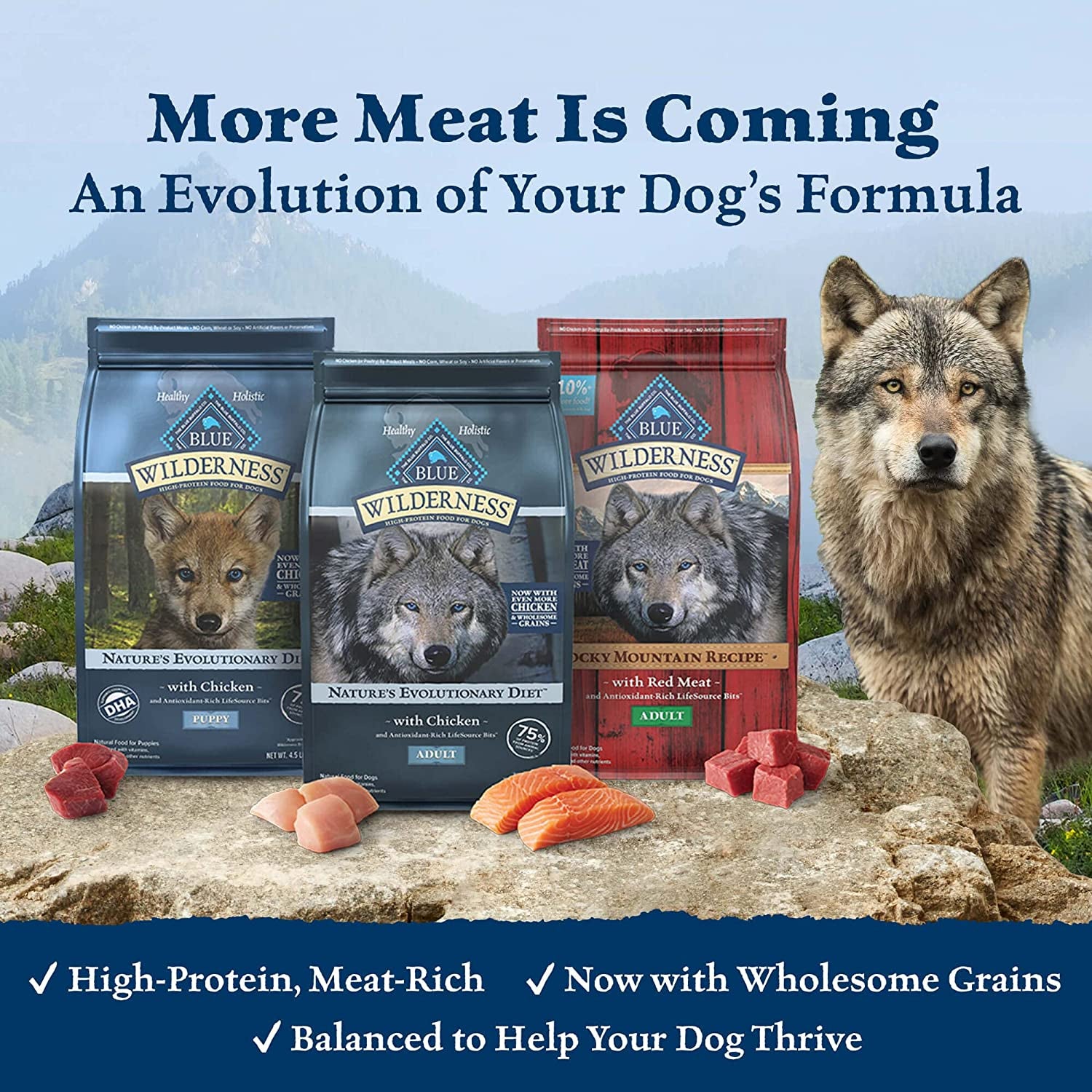 Wilderness with Chicken High Protein & Wholesome Grains Dry Dog Food for Adult Dogs, 34% Protein, Supports Immunity with Antioxidant-Rich Lifesource Bits, 24 Lbs.